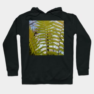 Green Fern in The Forest Hoodie